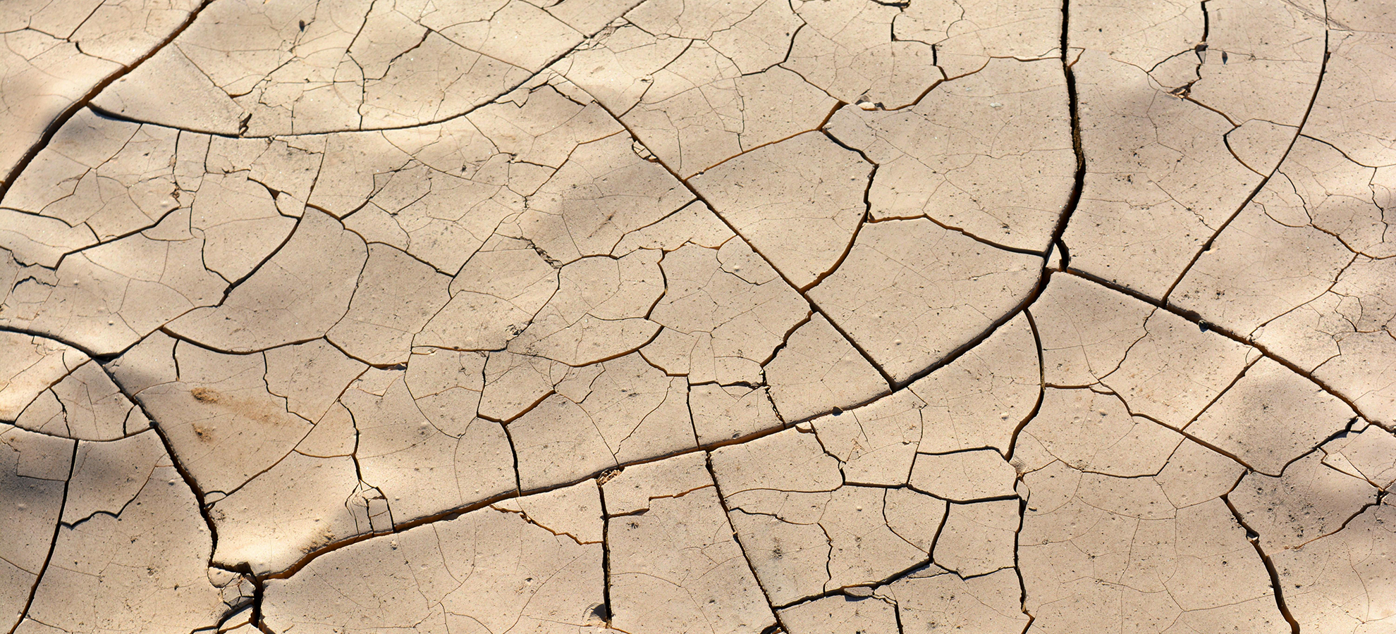 Seca Impacta Preços de Alimentos no Brasil em 2025